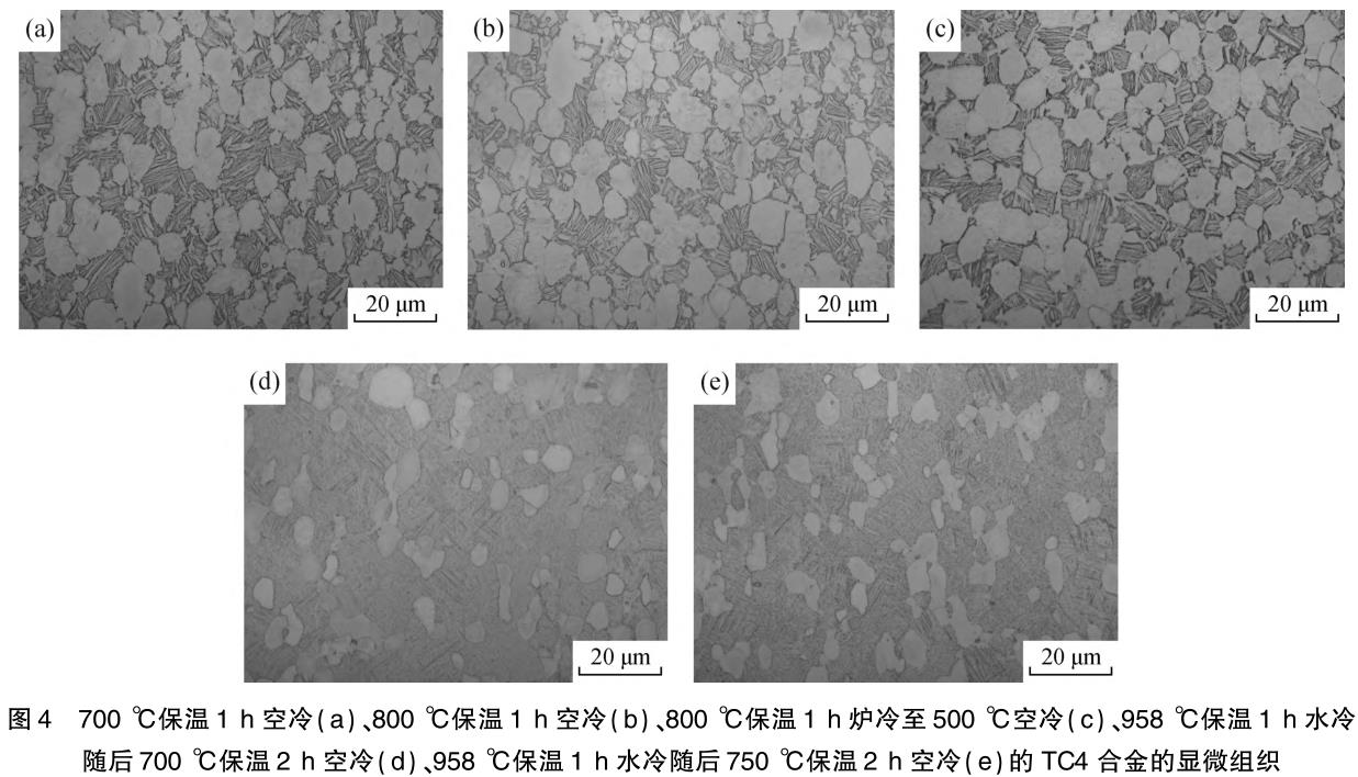 1716039463963131.jpg 360截圖16840930739266.jpg